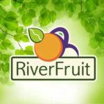 WhatsApp Image 2024-12-04 at 17.26.10